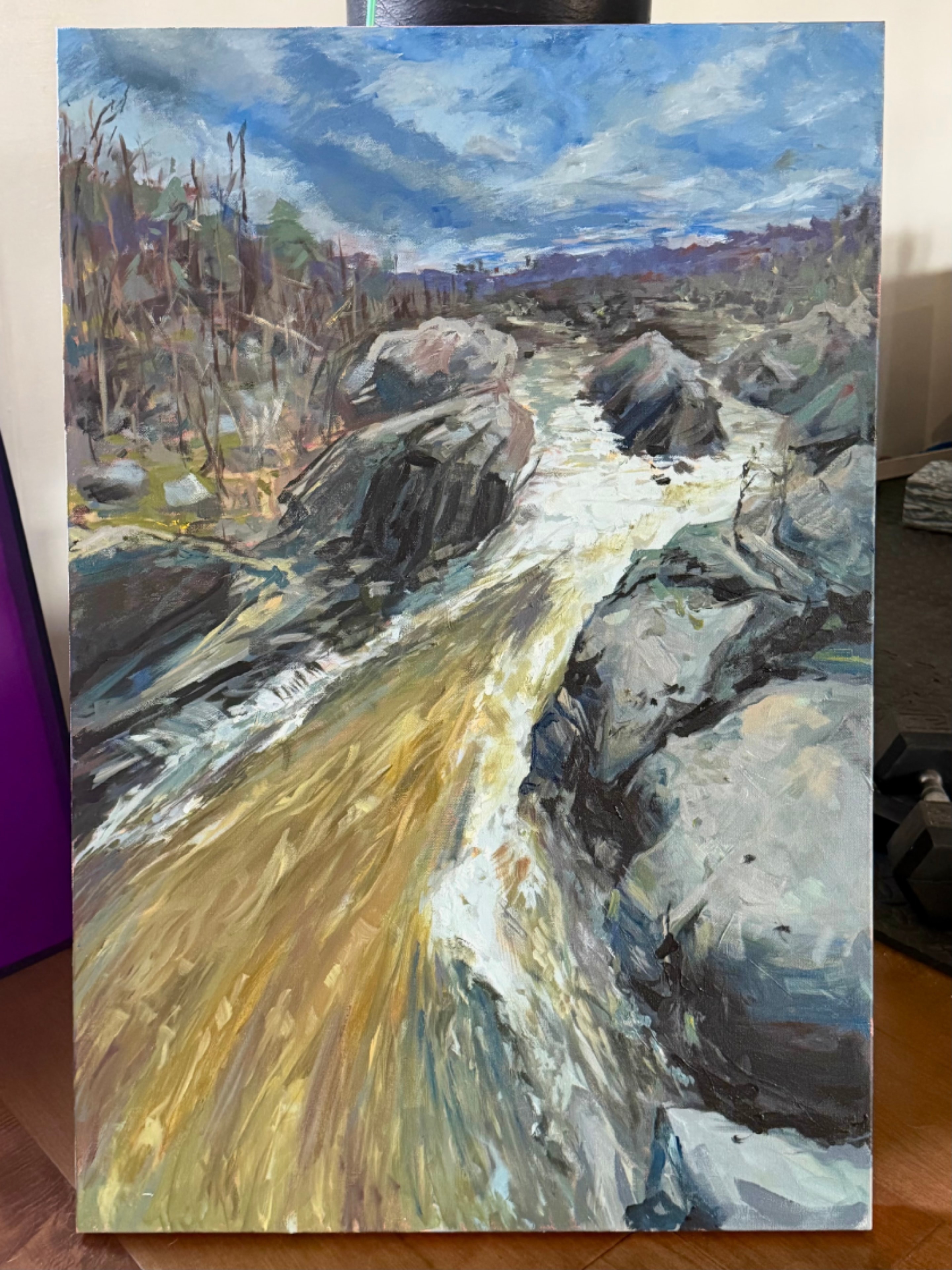 River Rapids — oil painting by Elize McKelvey